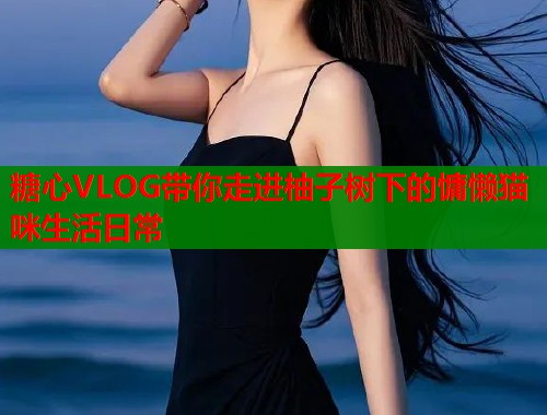 糖心VLOG带你走进柚子树下的慵懒猫咪生活日常  第1张